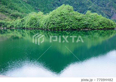朝霧湖 朝霧湖 77094482