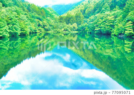 新緑の湖畔　竜ヶ沢ダム 77095071