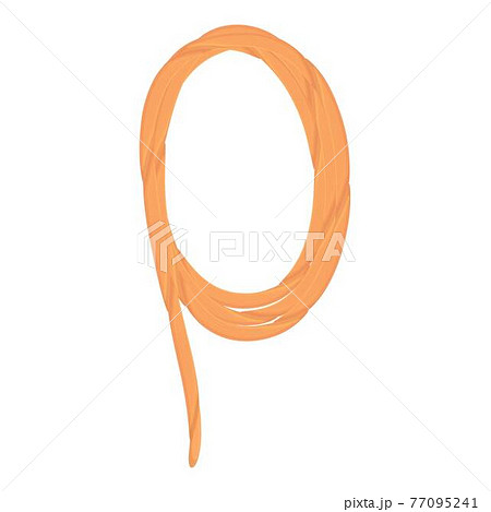 Border lasso icon, cartoon style 77095241