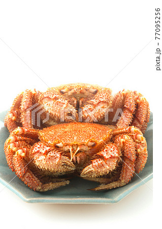 ボイルされた毛ガニ食材 ボイルされた毛ガニ食材 77095256
