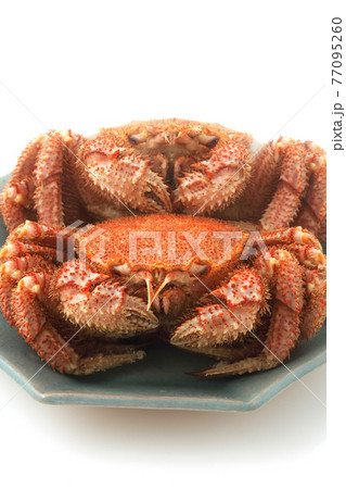 ボイルされた毛ガニ食材 ボイルされた毛ガニ食材 77095260
