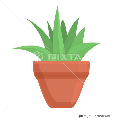 Succulent plant pot icon, cartoon style 77096486
