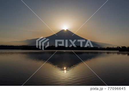 田貫湖春のダイヤモンド富士 77096645