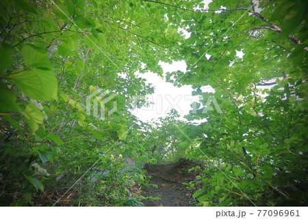 十和田湖の秘密の展望台 十和田湖の秘密の展望台 77096961