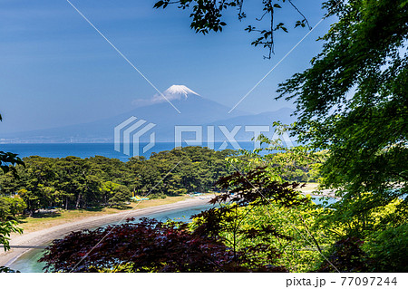 西伊豆戸田港から臨む富士山 77097244