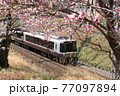 小田急線 77097894