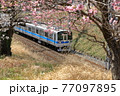 小田急線 77097895