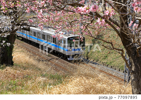 小田急線 77097895