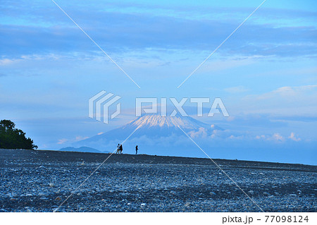三保の松原から富士山を望む 77098124
