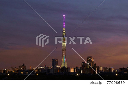 夕闇に浮かぶ東京スカイツリー 夕闇に浮かぶ東京スカイツリー 77098639