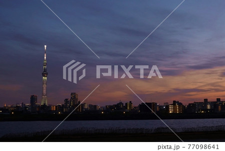 夕闇に浮かぶ東京スカイツリー 夕闇に浮かぶ東京スカイツリー 77098641
