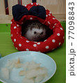 可視 ハリネズミ おやつ 77098843