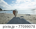 砂浜で石の上に石を積んでみた 77099078