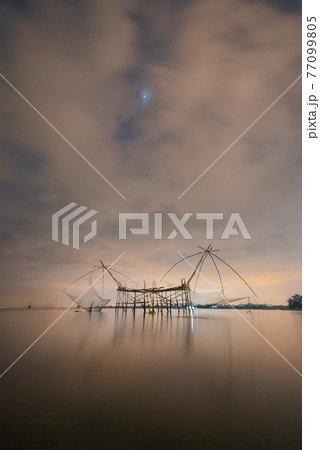 Local fishing trap net in canel, lake or river at night. Nature landscape fisheries and fishing tools lifestyle at Pak Pha, Phattalung, Thailand. Aquaculture farming. 77099805