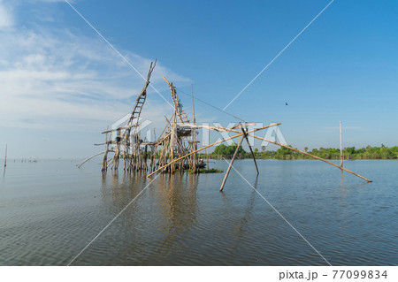 Sailing boat with local fishing trap net in canel, lake or river at sunset. Nature landscape fisheries and fishing tools lifestyle at Pak Pha, Phattalung, Thailand. Aquaculture farming. 77099834