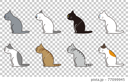 Full-body set of various cat breeds seen from the side 77099945