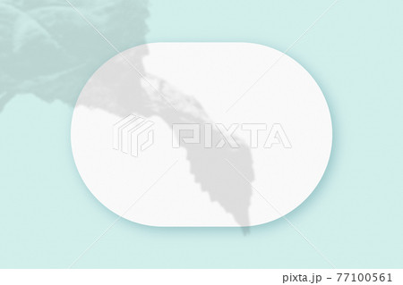 Mockup with plant shadows superimposed on an oval sheet of textured white paper on a blue table background. Horizontal orientation Mockup with plant shadows superimposed on an oval sheet of textured white paper on a blue table background. Horizontal orientation 77100561