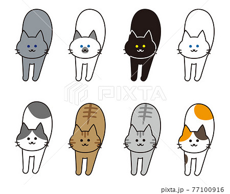 伸びをしている様々な猫種のセット 77100916