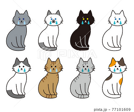 泣いている様々な猫種の全身セットのイラスト素材