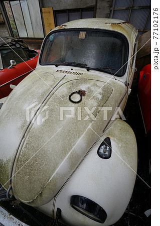廃墟　廃車　草ヒロ　廃車体　草むらのヒーロー　レトロカ―　クラシックカー　ビートル　ワーゲンバス 77102176