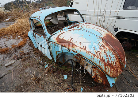 廃墟 廃車 草ヒロ 廃車体 草むらのヒーロー レトロカ― クラシックカー ビートル ワーゲンバスの写真素材 [77102202] - PIXTA