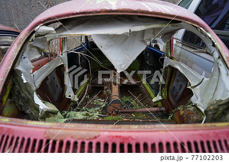 廃墟　廃車　草ヒロ　廃車体　草むらのヒーロー　レトロカ―　クラシックカー　ビートル　ワーゲンバス 77102203