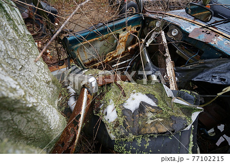 廃墟　廃車　草ヒロ　廃車体　草むらのヒーロー　レトロカ―　クラシックカー　ビートル　ワーゲンバス 77102215