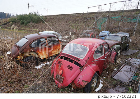 廃墟　廃車　草ヒロ　廃車体　草むらのヒーロー　レトロカ―　クラシックカー　ビートル　ワーゲンバス 77102221