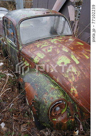 廃墟　廃車　草ヒロ　廃車体　草むらのヒーロー　レトロカ―　クラシックカー　ビートル　ワーゲンバス 77102239