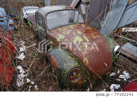 廃墟　廃車　草ヒロ　廃車体　草むらのヒーロー　レトロカ―　クラシックカー　ビートル　ワーゲンバス 77102241