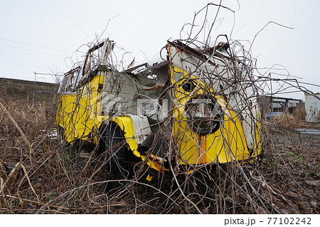 廃墟 廃車 草ヒロ 廃車体 草むらのヒーロー レトロカ― クラシックカー ビートル ワーゲンバス 廃墟 廃車 草ヒロ 廃車体 草むらのヒーロー レトロカ― クラシックカー ビートル ワーゲンバス 77102242
