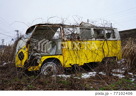 廃墟　廃車　草ヒロ　廃車体　草むらのヒーロー　レトロカ―　クラシックカー　ビートル　ワーゲンバス 77102406