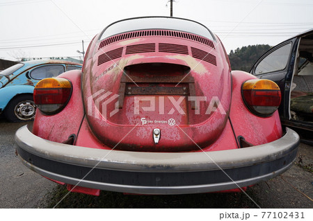 廃墟 廃車 草ヒロ 廃車体 草むらのヒーロー レトロカ― クラシックカー ビートル ワーゲンバス 廃墟 廃車 草ヒロ 廃車体 草むらのヒーロー レトロカ― クラシックカー ビートル ワーゲンバス 77102431