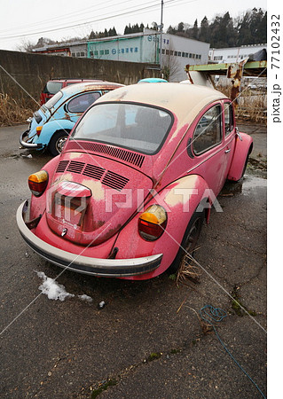 廃墟　廃車　草ヒロ　廃車体　草むらのヒーロー　レトロカ―　クラシックカー　ビートル　ワーゲンバス 77102432