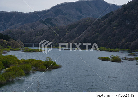 黄昏れる五十里湖 77102448