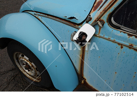 廃墟　廃車　草ヒロ　廃車体　草むらのヒーロー　レトロカ―　クラシックカー　ビートル　ワーゲンバス 77102514