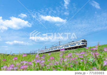 蓮華の花と415系（日豊本線） 77103003