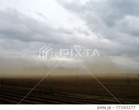 耕作地での春の嵐 77103277