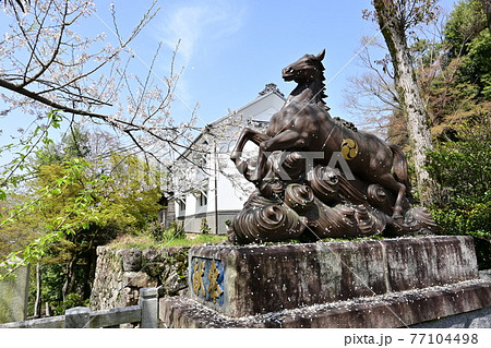 犬山城内の神社にある神馬と桜 77104498