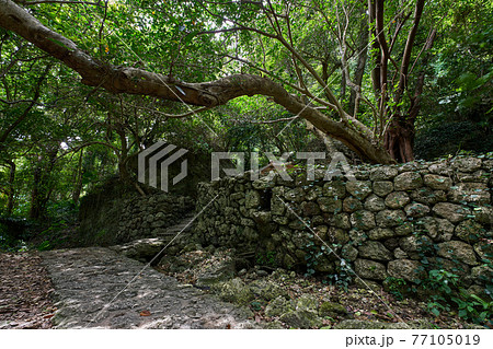 沖縄県南城市百名　浜川御嶽　聖地巡礼東御廻り　あがりうまーい 77105019