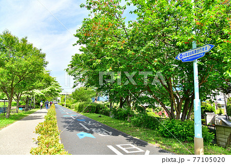 多摩湖自転車歩行者道／東村山中央公園付近(東京都東村山市)【2021.4】 77105020