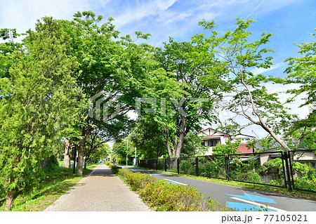 多摩湖自転車歩行者道／東村山中央公園付近(東京都東村山市)【2021.4】 77105021