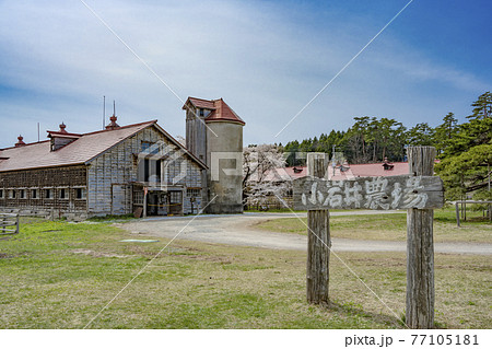 小岩井農場 三号牛舎 小岩井農場 三号牛舎 77105181