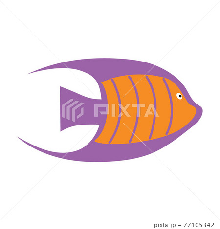 Sea fish on an isolated background. A variety of popular colored fish. Sea fish on an isolated background. A variety of popular colored fish. 77105342