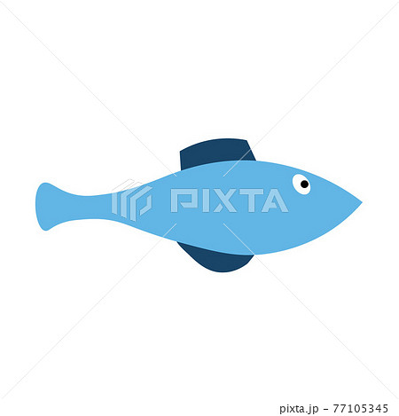 Sea fish on an isolated background. A variety of popular colored fish. Sea fish on an isolated background. A variety of popular colored fish. 77105345
