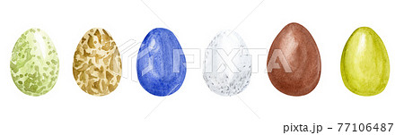 Watercolor different wild birds' eggs. Easter egg. Colofrul birds eggs 77106487