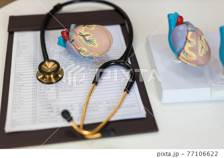 heart model. Human heart plastic model. anatomical model of human heart. heart model. Human heart plastic model. anatomical model of human heart. 77106622