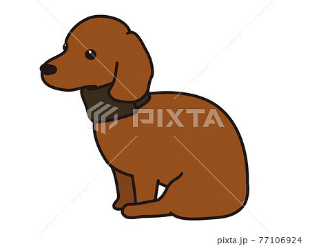 頸椎椎間板ヘルニア 首にコルセットをする犬のイラスト素材