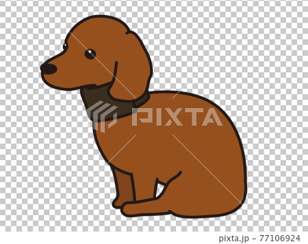 頸椎椎間板ヘルニア 首にコルセットをする犬のイラスト素材