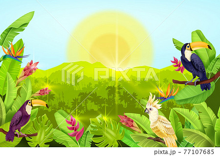 Jungle vector forest landscape, exotic tropical background, palm tree silhouette toucan, parrot, sun 77107685